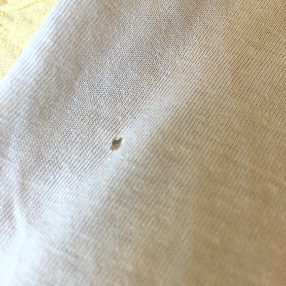 Threadless Rare 'Wild Dog' by Corinne A. Reid Ratty Burnout Tee - Picture 11 of 15